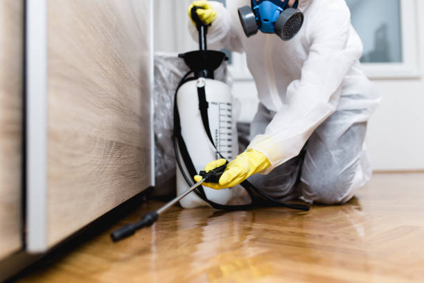Best Affordable Pest Control Services  in Rainsville, AL