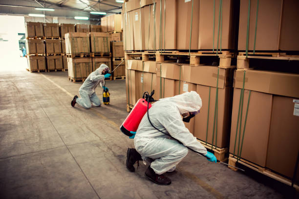Best Best Pest Control Companies  in Rainsville, AL