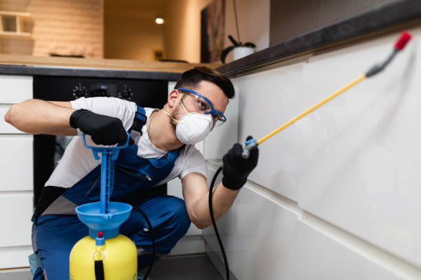 Best Termite Control Services  in Rainsville, AL