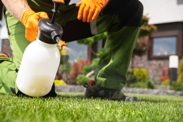 Best Cockroach Control Services  in Rainsville, AL