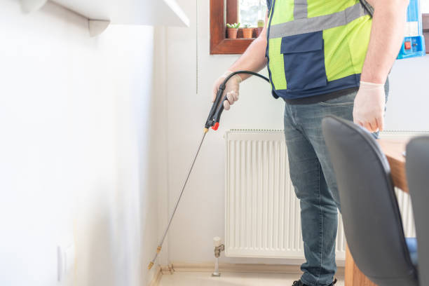 Best Flea Control Services  in Rainsville, AL