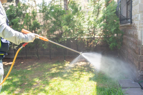 Best Wasp Removal Services  in Rainsville, AL