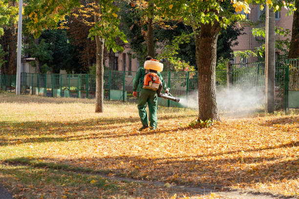 Professional Pest Control in Rainsville, AL